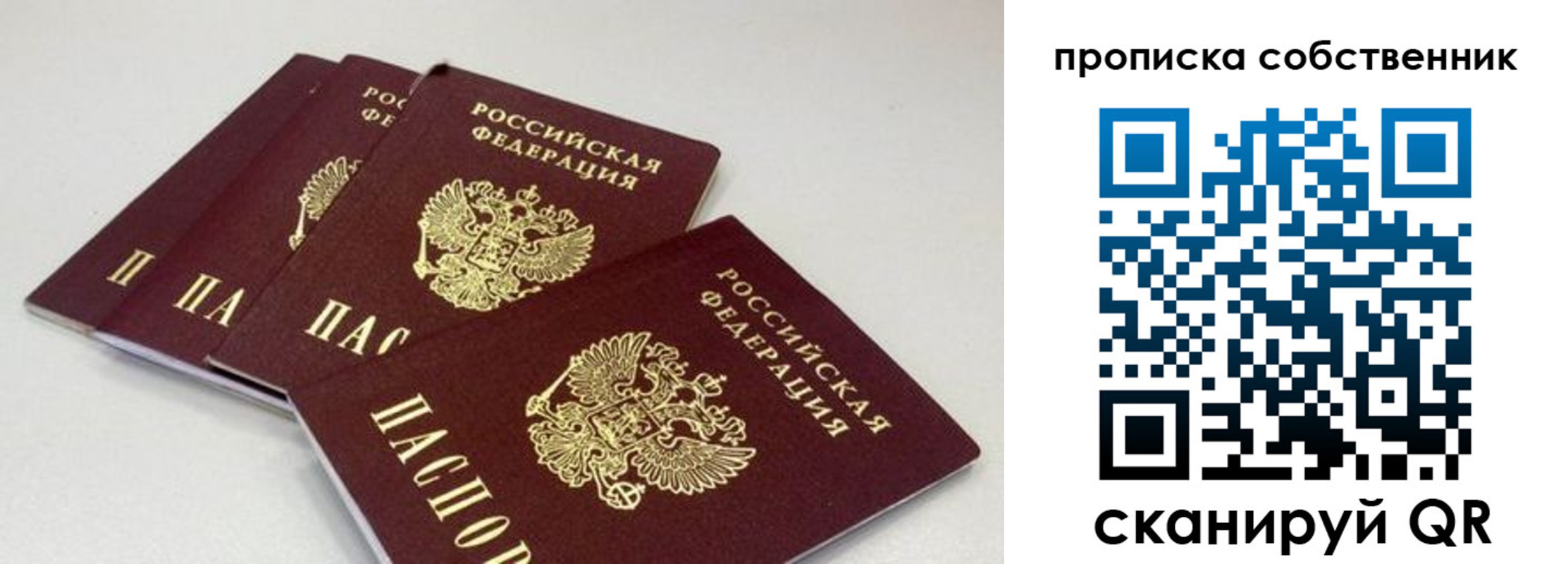 где прописаться в Ярославской области